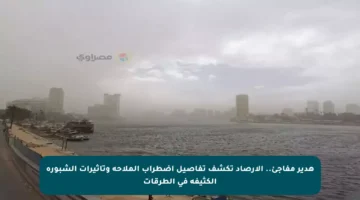 هدير مفاجئ.. الأرصاد تكشف تفاصيل اضطراب الملاحة وتأثيرات الشبورة الكثيفة في الطرقات